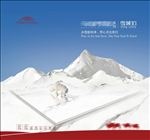 地砖 展厅