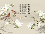 家和万事兴玉兰花