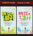桃花节图片