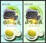 茶、信阳毛尖