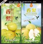 香梨