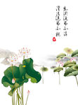 荷花背景