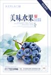 蓝莓水果海报