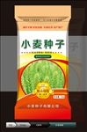 小麦种子(展开图)