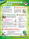 禽流感知识
