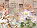 富贵吉祥牡丹荷花图