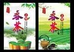 春茶上市