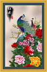 花开富贵