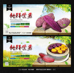 紫薯 红薯