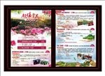 踏春超值赏花之旅