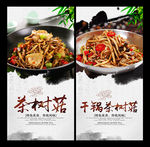茶树菇