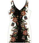 热带雨林彩色花朵绿叶丛林