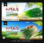 大葱