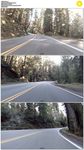 开车在森林公路上穿梭