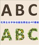 花草生长字体动画效果组合AE模