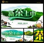 新茶上市