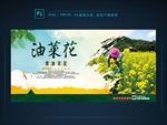油菜花海报