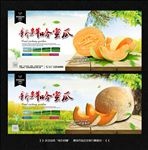 哈密瓜
