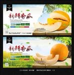 黄金瓜