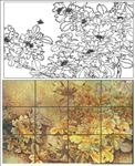 牡丹花