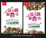 百合花