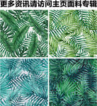 热带植物印花 棕榈叶图案