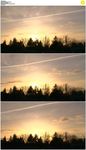 树梢后的夕阳天空