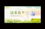 油菜花