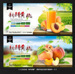 黄桃