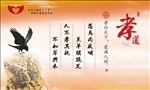 孝道展板
