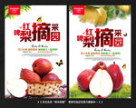 红啤梨