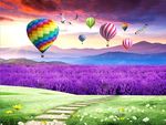 薰衣草热气球