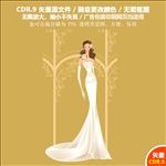 美丽新娘精美婚纱婚礼矢量图