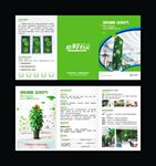 绿植花卉三折页