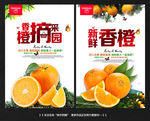 橙子 香橙