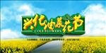 兴化油菜花节