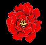牡丹花 家纺设计素材