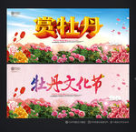 牡丹