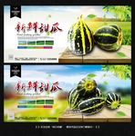 绿皮甜瓜