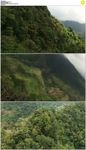 航拍山峰植被