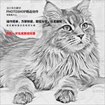 PS艺术照片转素描动作