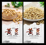 黄豆