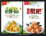 枇杷