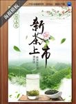 新茶上市