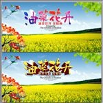 油菜花