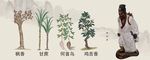 中药图谱