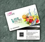 水果VIP卡