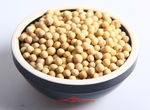 大豆