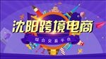 跨境电商代购海购全球购保税海报