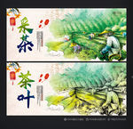 采茶